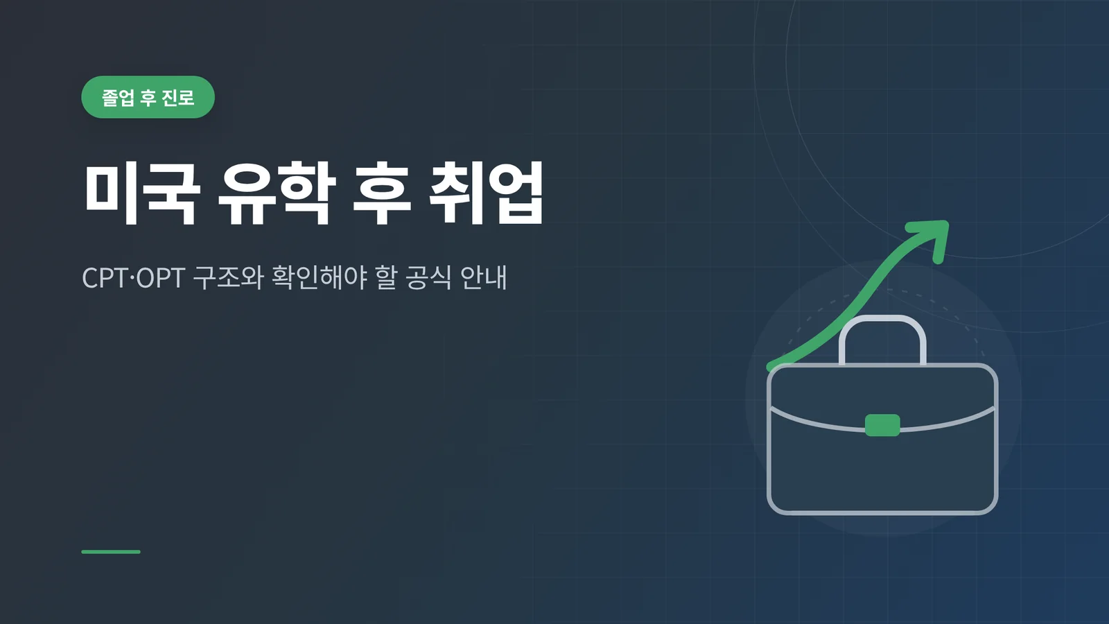 미국 유학 후 취업